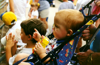 Nicholas Watching the Animals