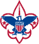 St. Andrew Boy Scout Troop 2006